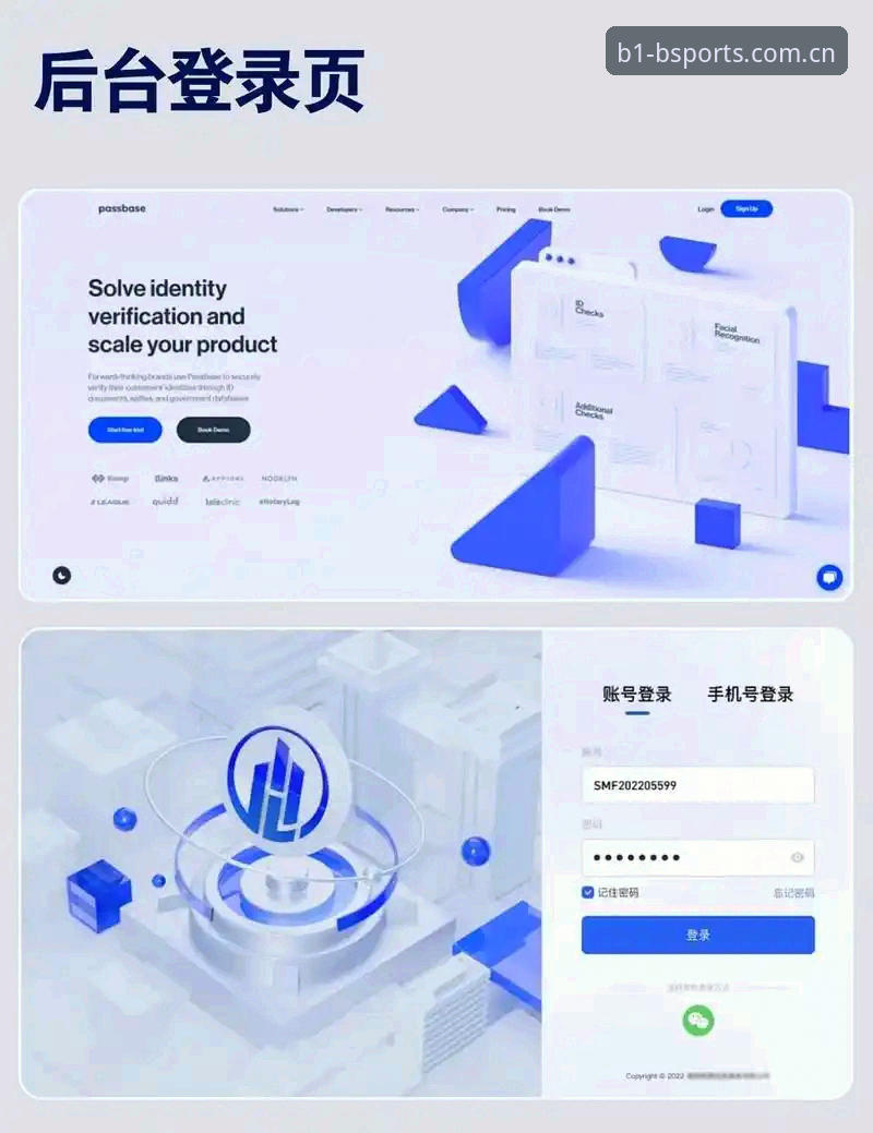 如何高效掌握BSports登录方法必备技巧？