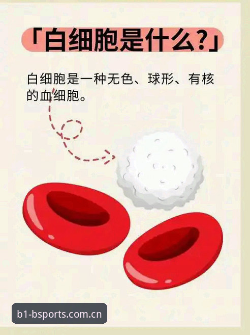 揭秘必一运动最新版本下载：老用户亲测体验与功能升级背后的真相